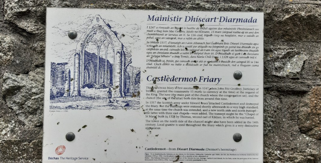Castledermot Friary景点图片