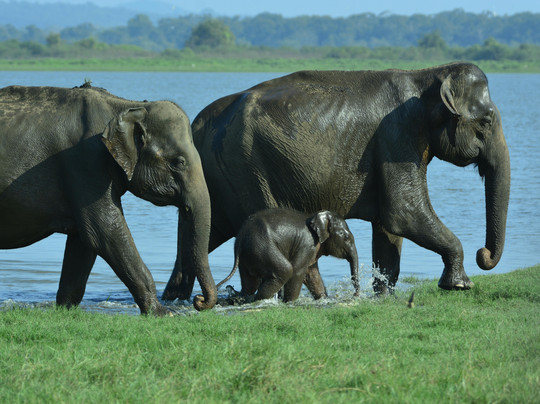Ceylanica Adventures-Kadawata必去景点