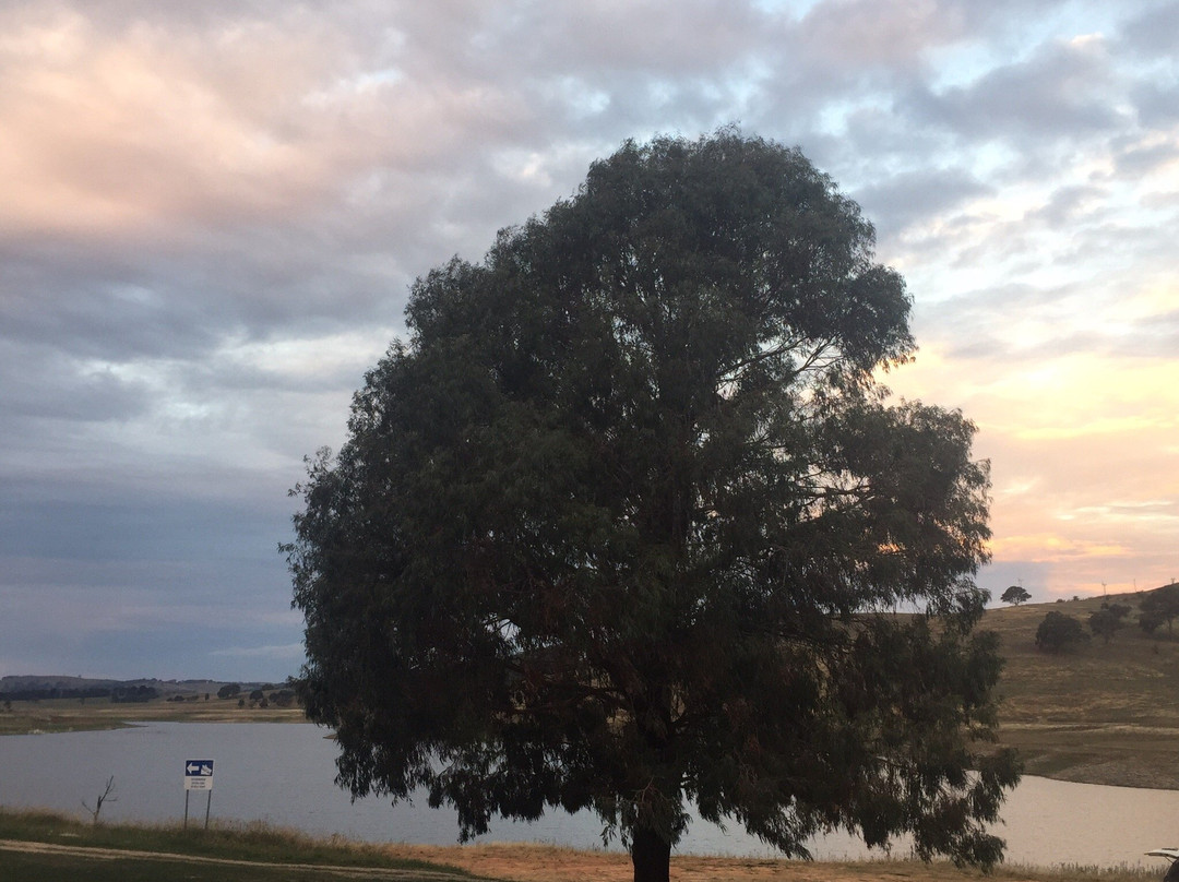 Carcoar Dam景点图片
