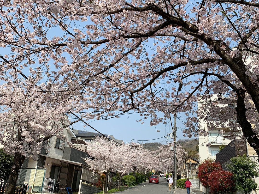 Hiraoka Park-东大阪市必去景点
