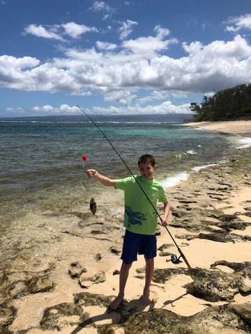 North Shore Tour Guide-哈雷瓦必去景点