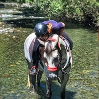 Hanmer Horse Trekking景点图片