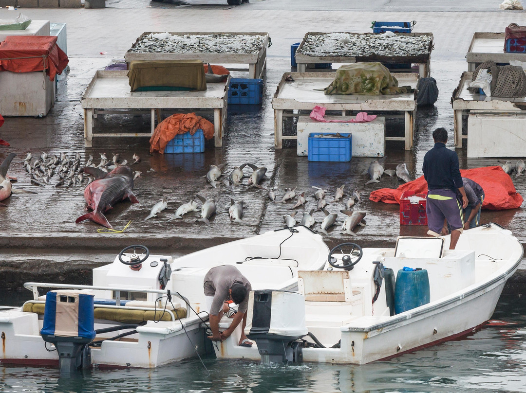 Dibba Beach Resort-Dibba Al Bay Ah必去景点