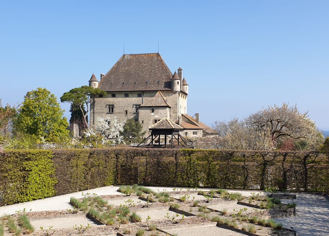 Château de Ripaille景点图片