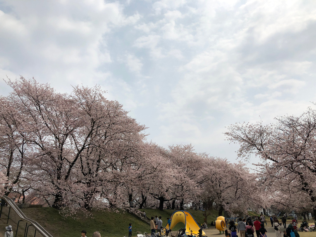 Mampei Park-熊谷市必去景点