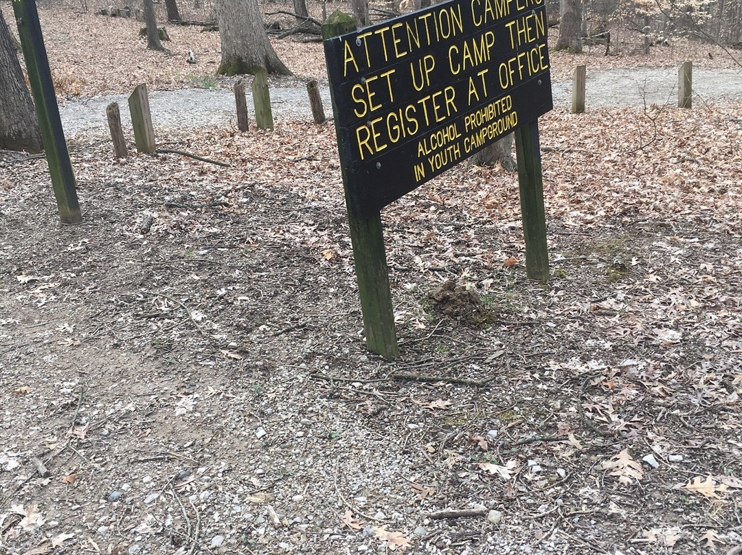 Morgan-Monroe State Forest-Martinsville必去景点