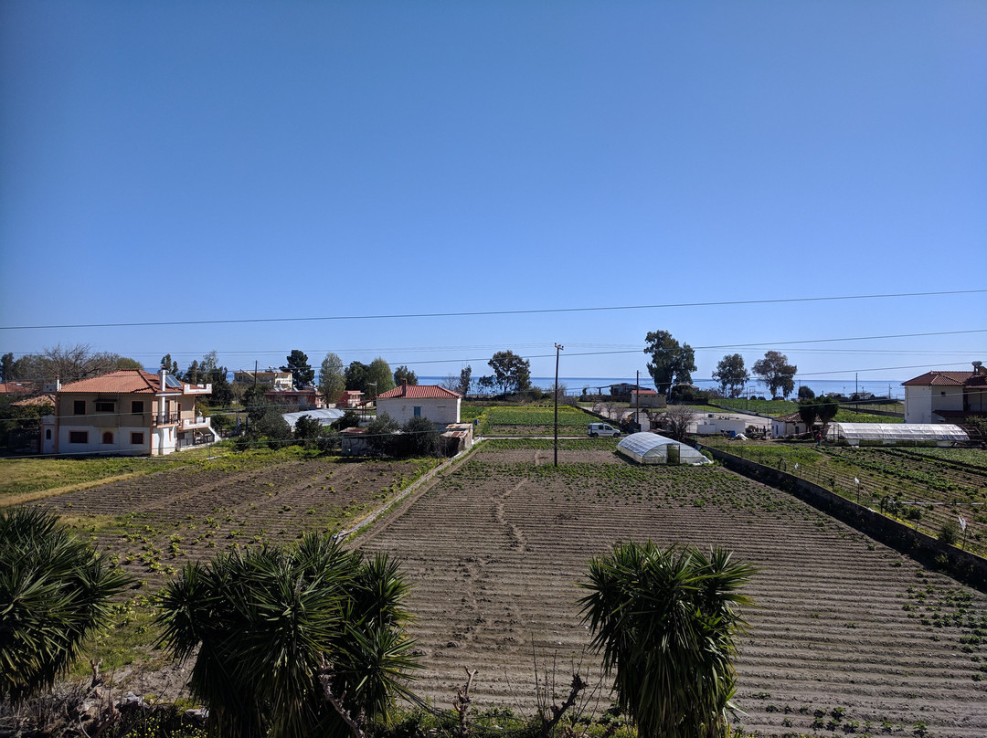 Troumpas Family Rooms and Apartments主图