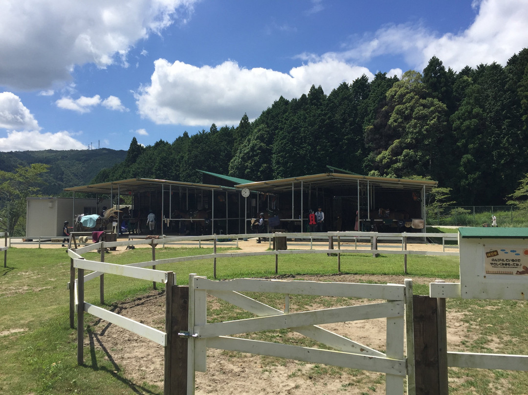 Horse Riding Club Crane Osaka-羽曳野市必去景点
