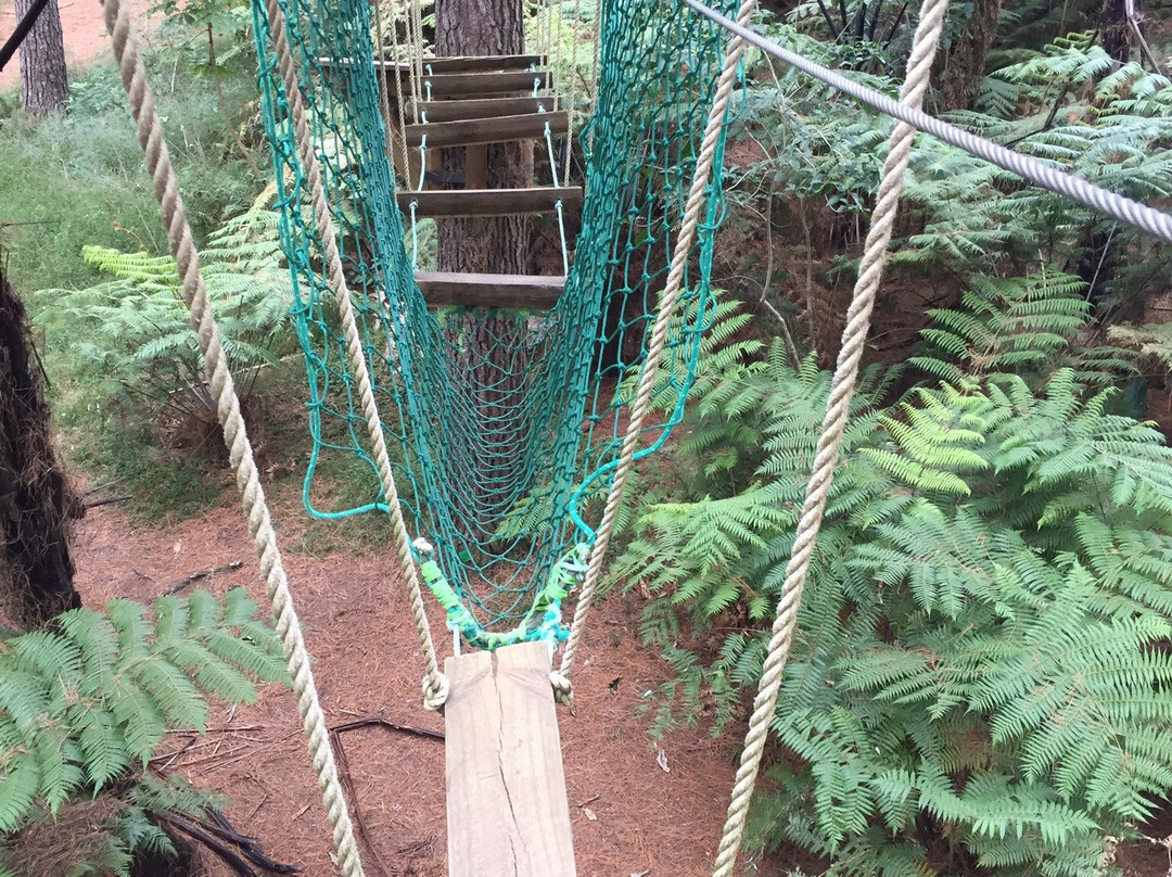 Adventure Forest景点图片