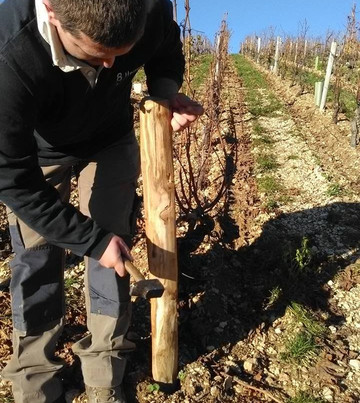 Sancerre Roger Neveu-Verdigny必去景点