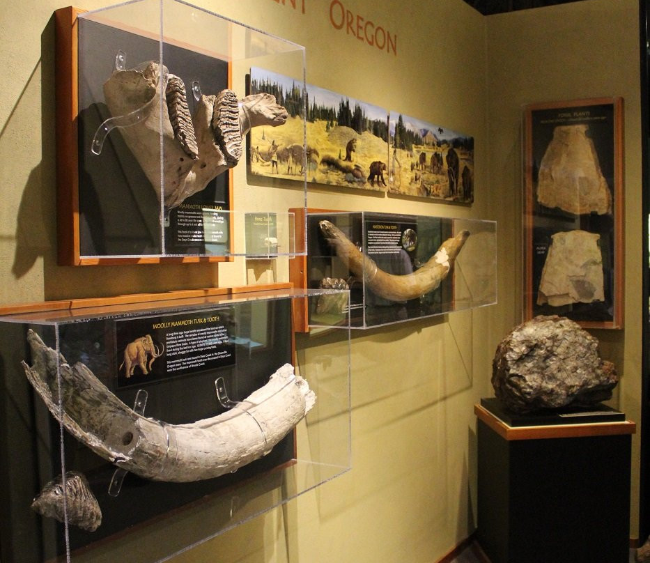 Douglas County Museum of Natural & Cultural History-罗斯堡必去景点