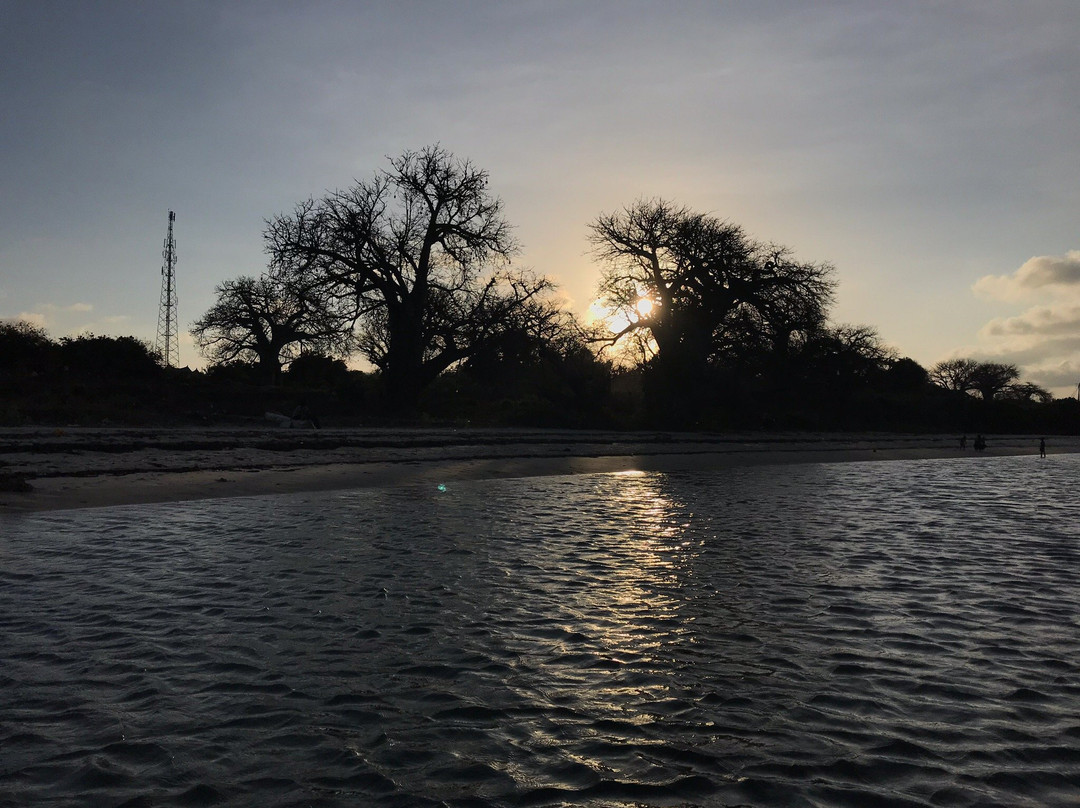 Kongo Mosque-Kwale必去景点