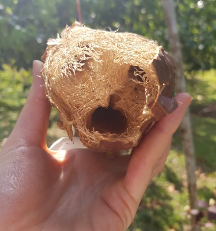 Na Tin Spicy Garden-奥南必去景点