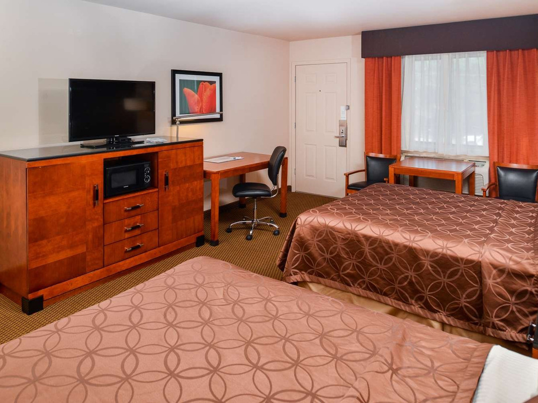 Best Western Executive Inn主图