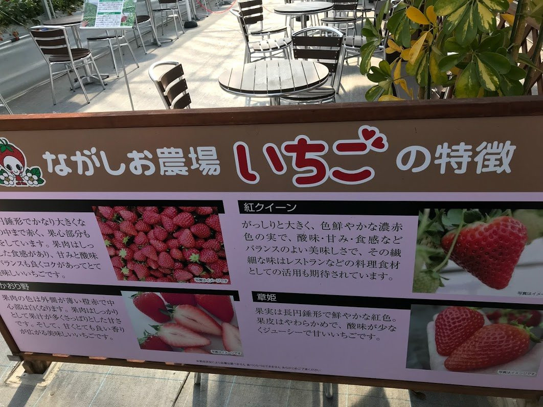 Nagashio Farm-三田市必去景点