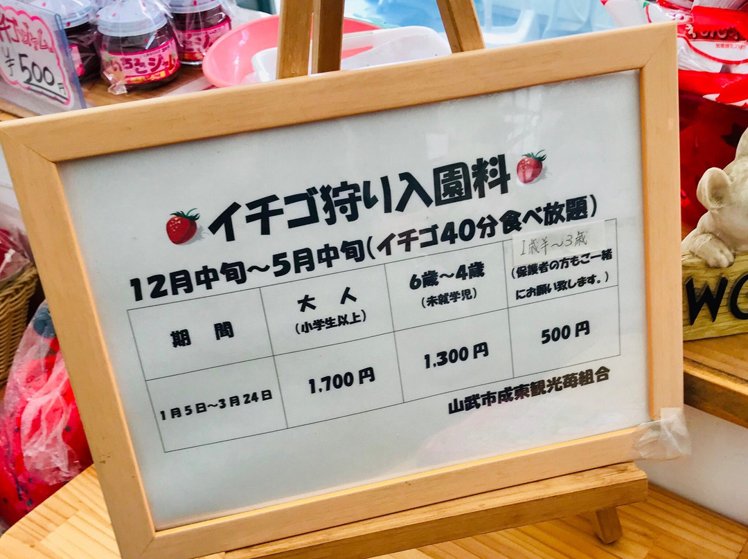 Aiba Strawberry Farm-山武市必去景点