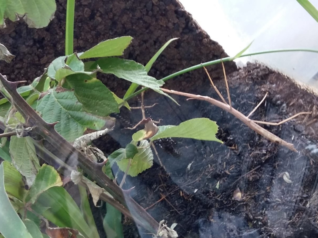 La Casa delle Farfalle-Ragusa CIty必去景点