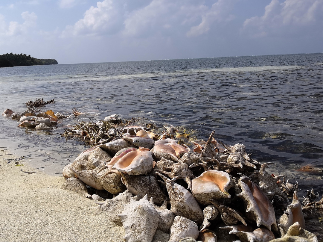 White Lagoon Fehendhoo主图