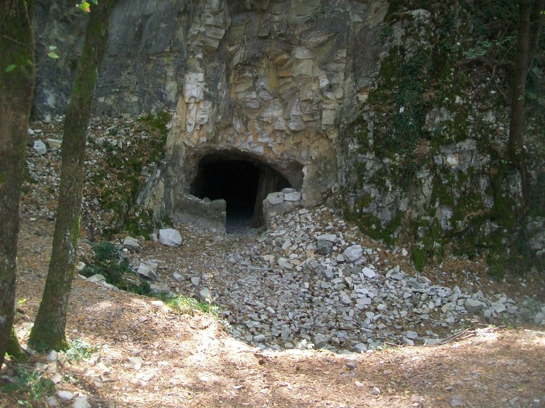 Bunker di Opicina景点图片