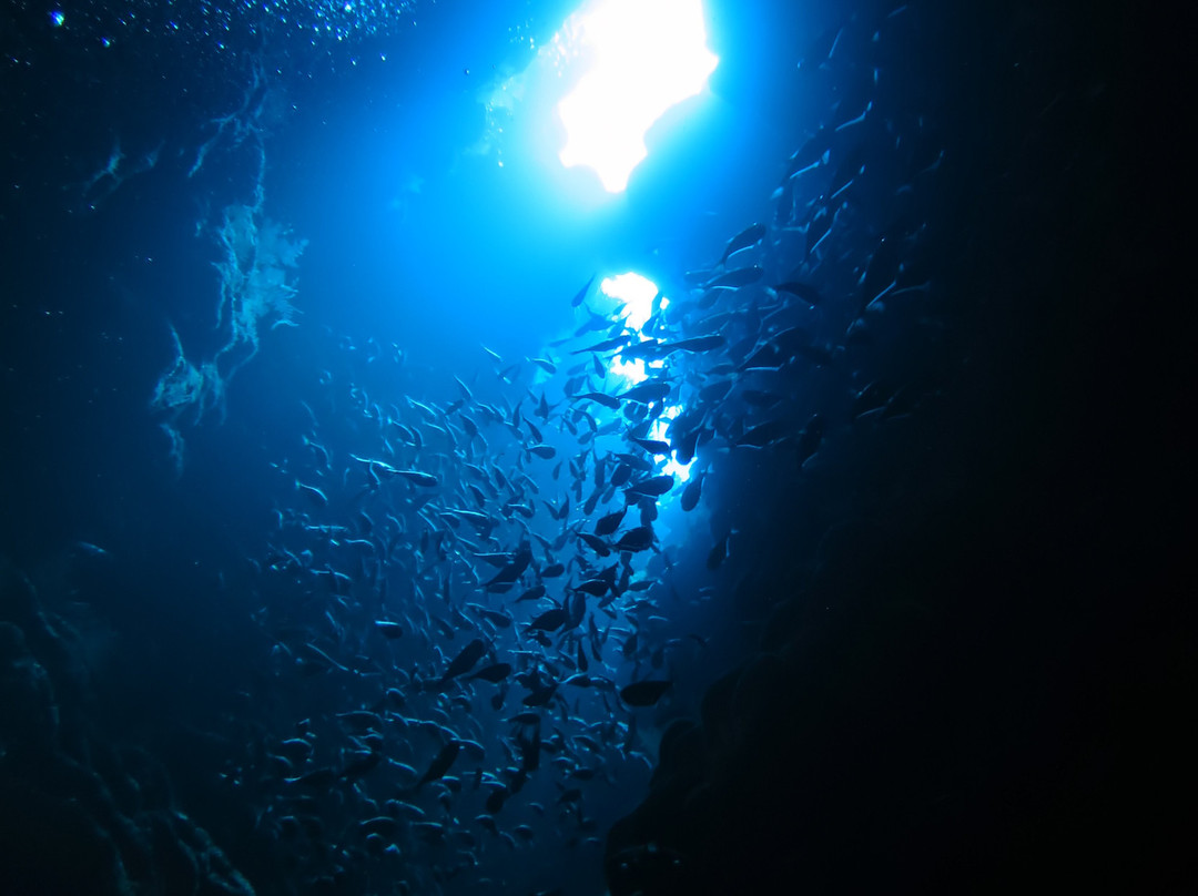 Sea Dancer Dive Resort-达哈卜必去景点