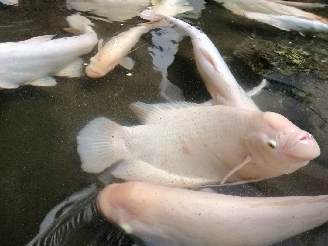 绿洲艾特杰酒店主图