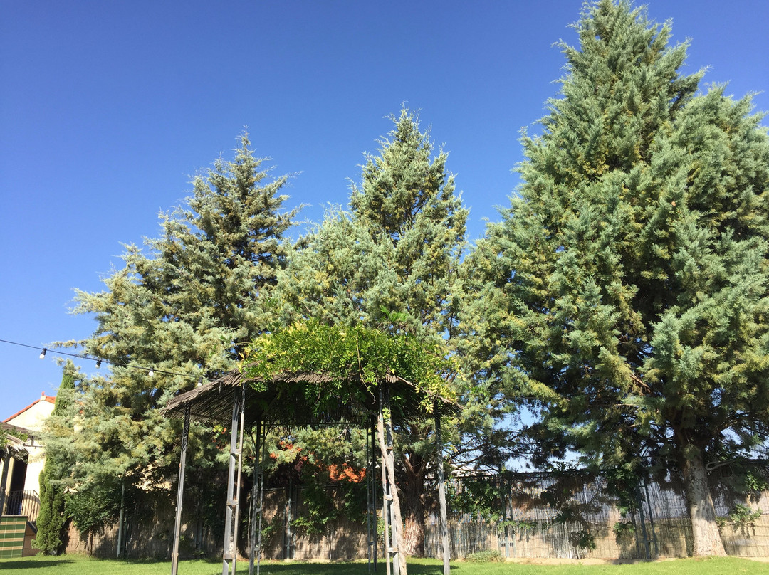 眺望塔酒店主图