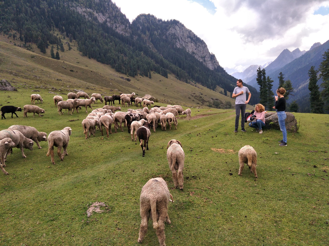 The Holidaz Travel Kashmir-斯利那加必去景点