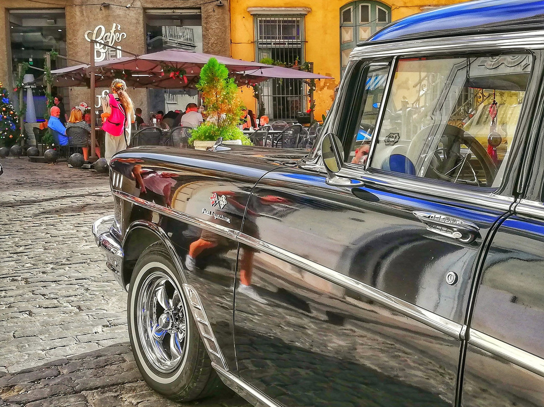 Natural Cuba Travel & Romance景点图片