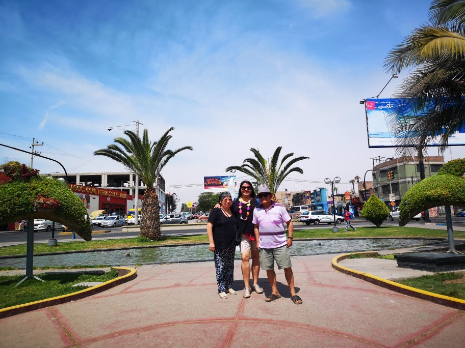 Bosque Municipal De Tacna-塔克纳必去景点
