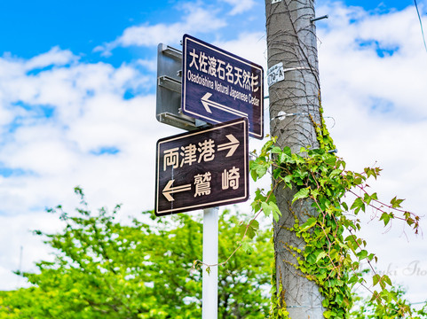Osadoishina Natural Cedar Walking Path-佐渡市必去景点