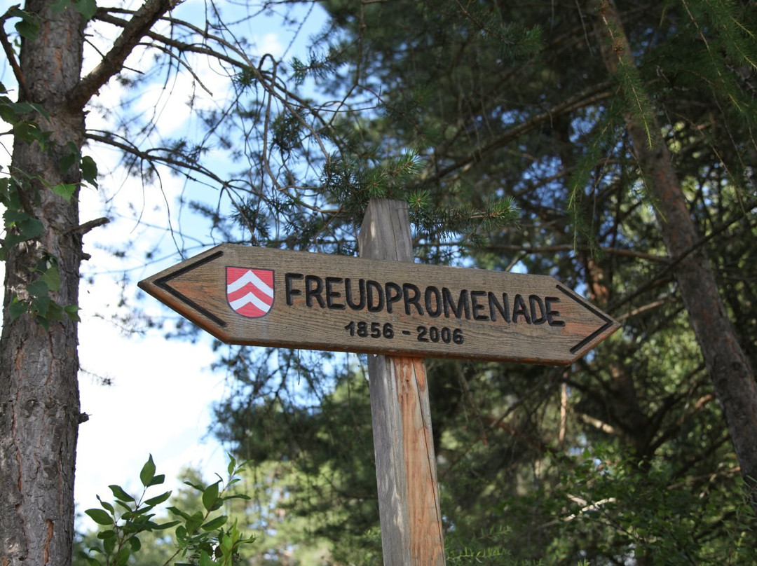 Freud Promenade景点图片