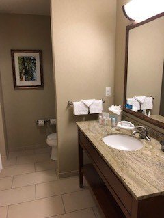 Hampton Inn & Suites Salem-浴室