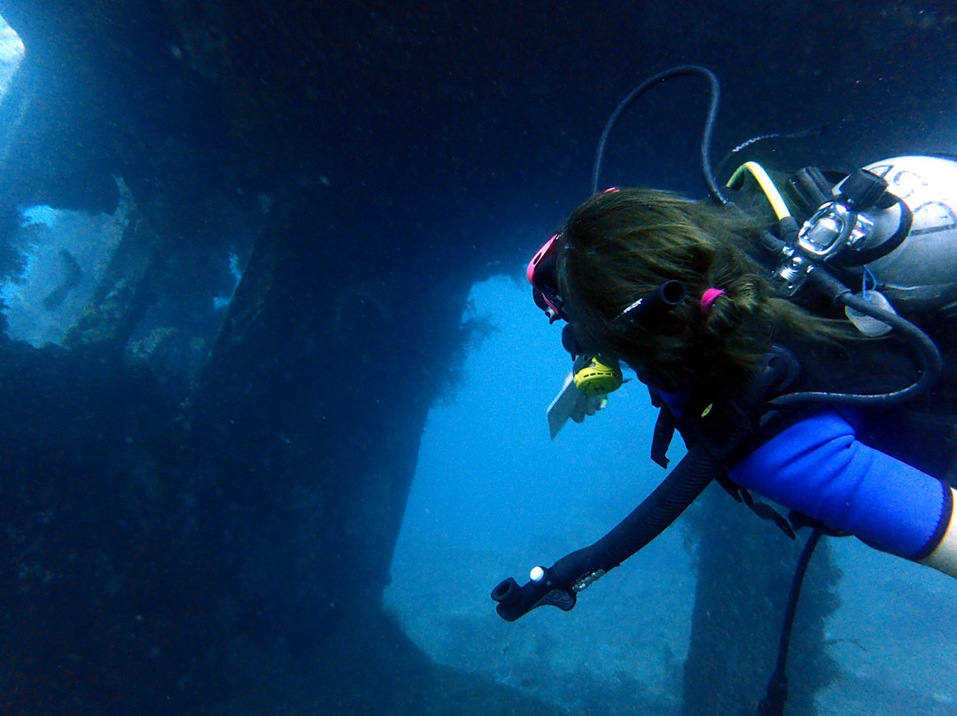 Two Fish Divers Sanur-沙努尔必去景点