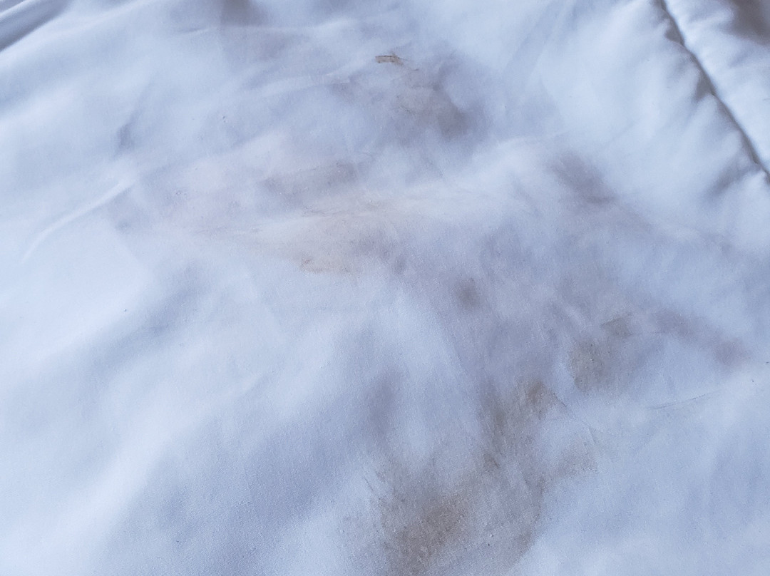 Hotel Avery Nashville主图