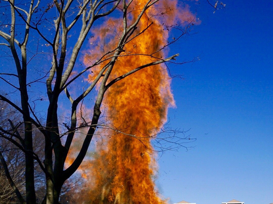 Oyamadairi Park-町田市必去景点