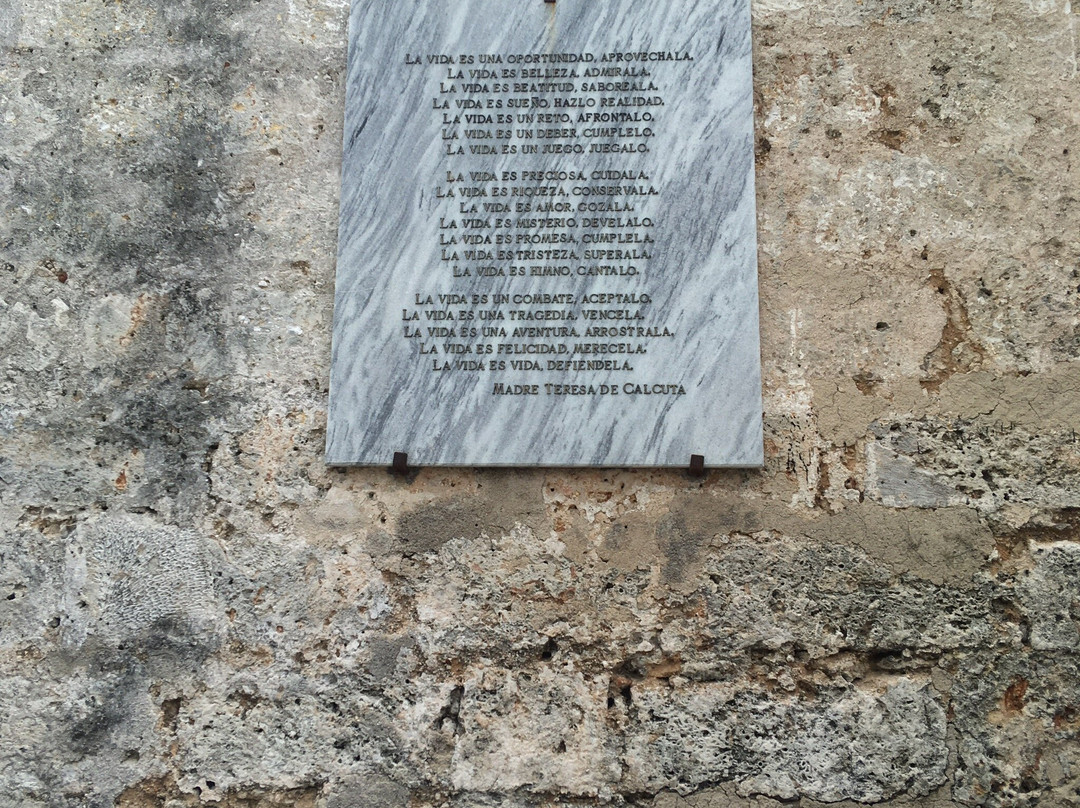 Jardin Madre Teresa de Calcuta-哈瓦那必去景点