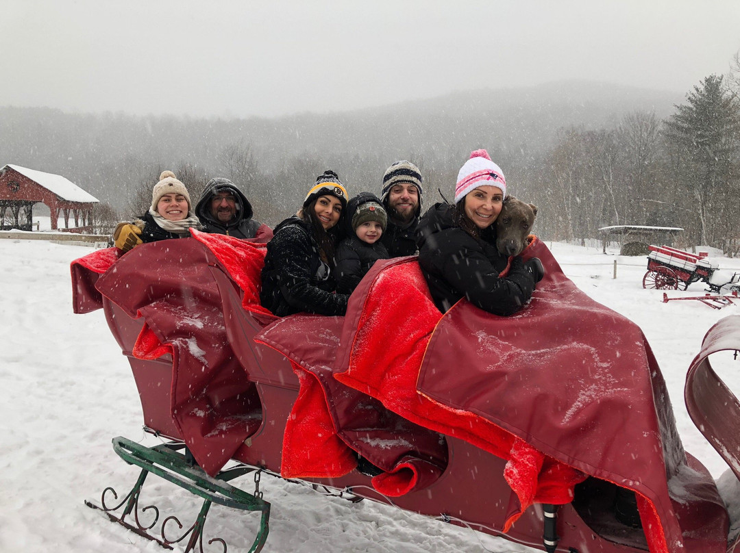 Gentle Giants Sleigh and Carriage Rides-斯托必去景点