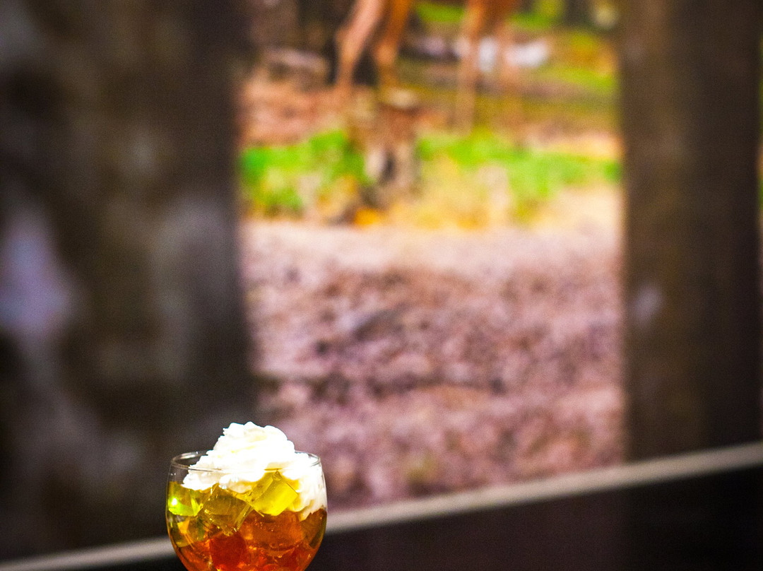 Hotel Fero Lux主图