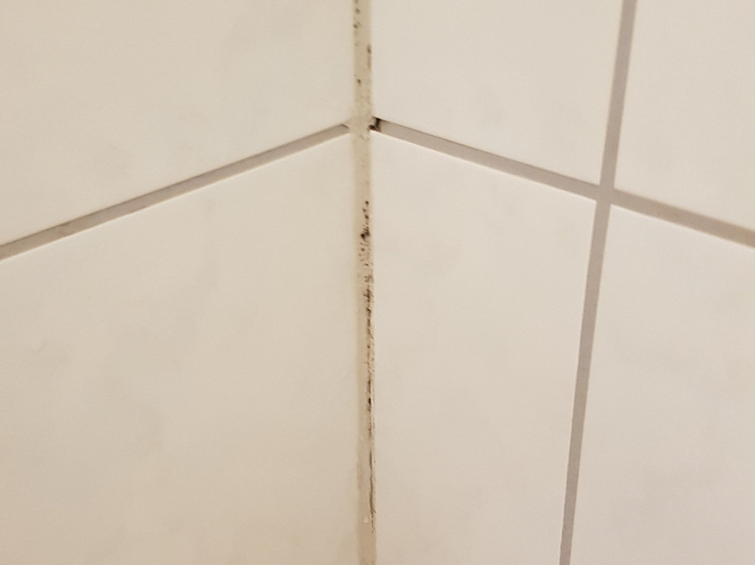 Landhotel Ringelsteiner Muehle主图