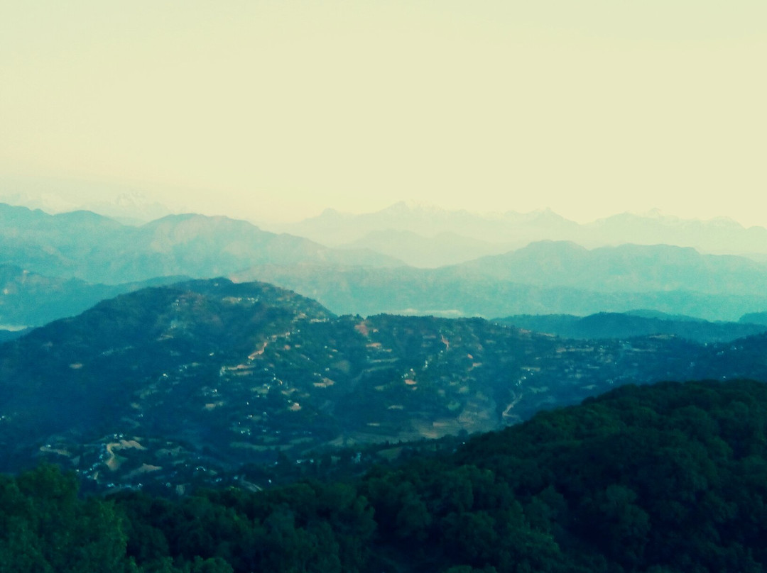 Natures Treat Homestay主图