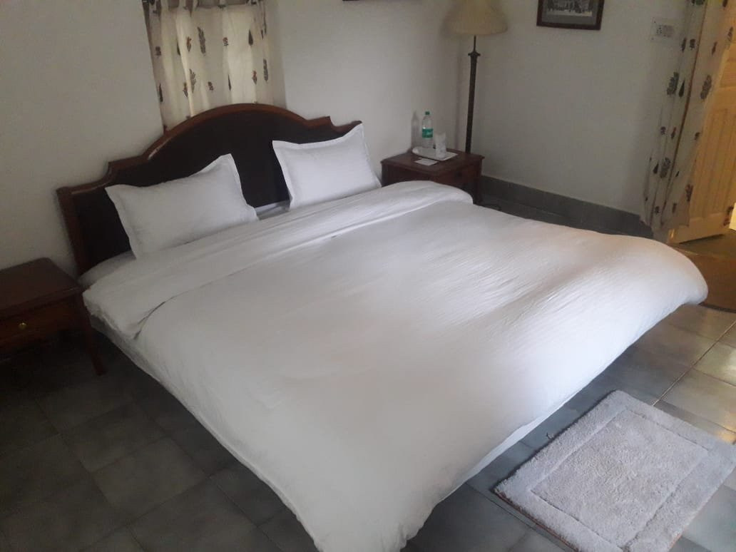 White Mushroom - Rissala Polo Tiger Camp主图