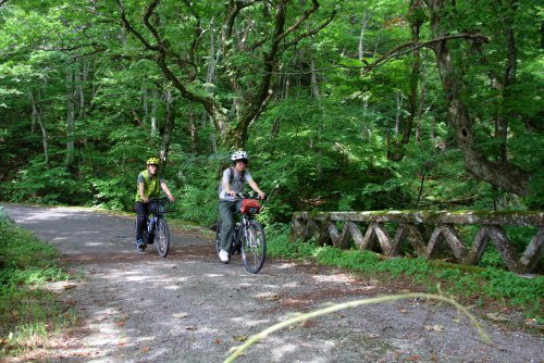 Daisen Tour Desk-大山町必去景点