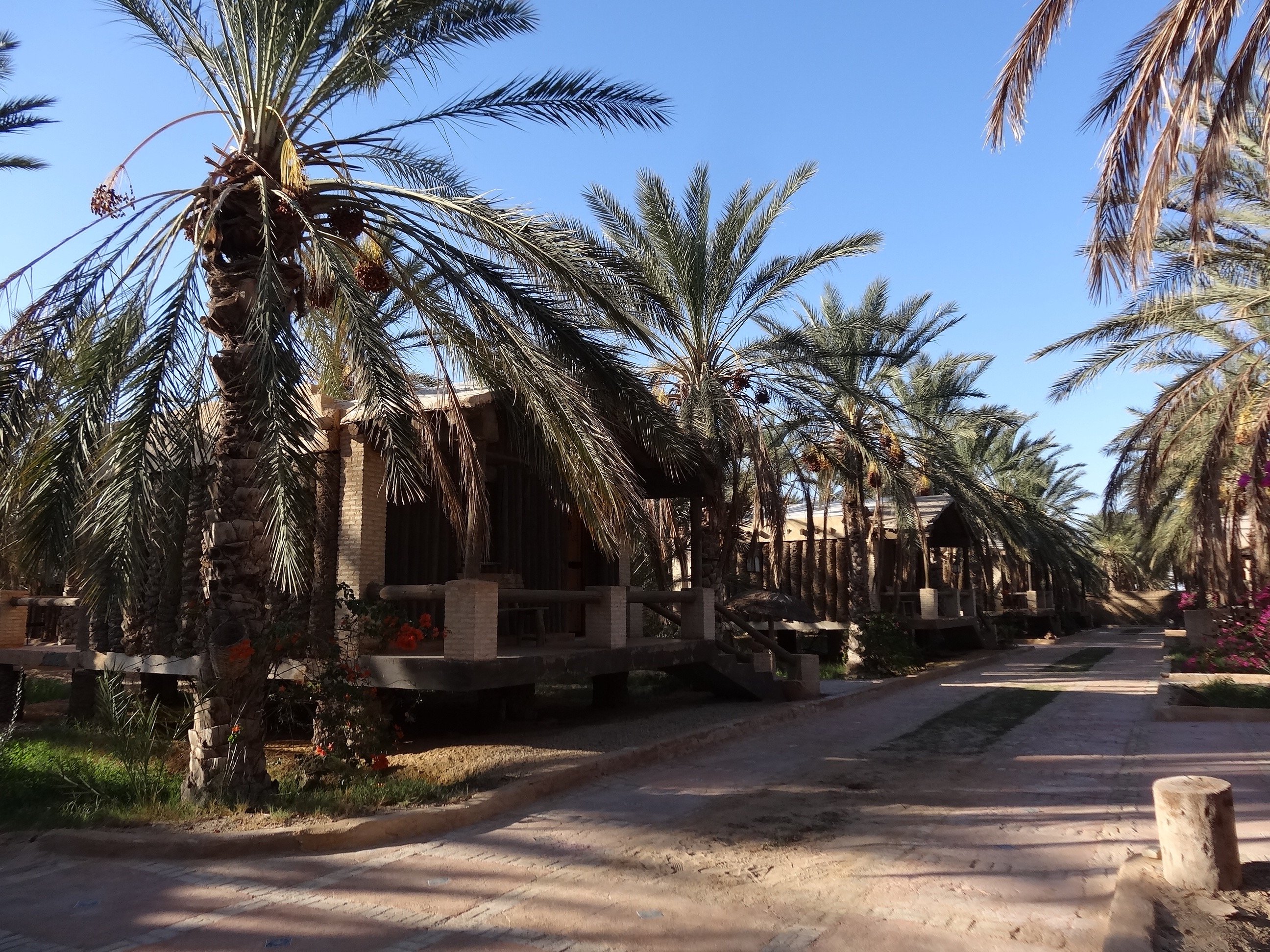 Dar Horchani-酒店景观