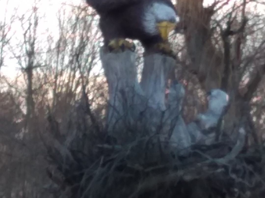 Vanished Valley Brewing Co-Ludlow必去景点