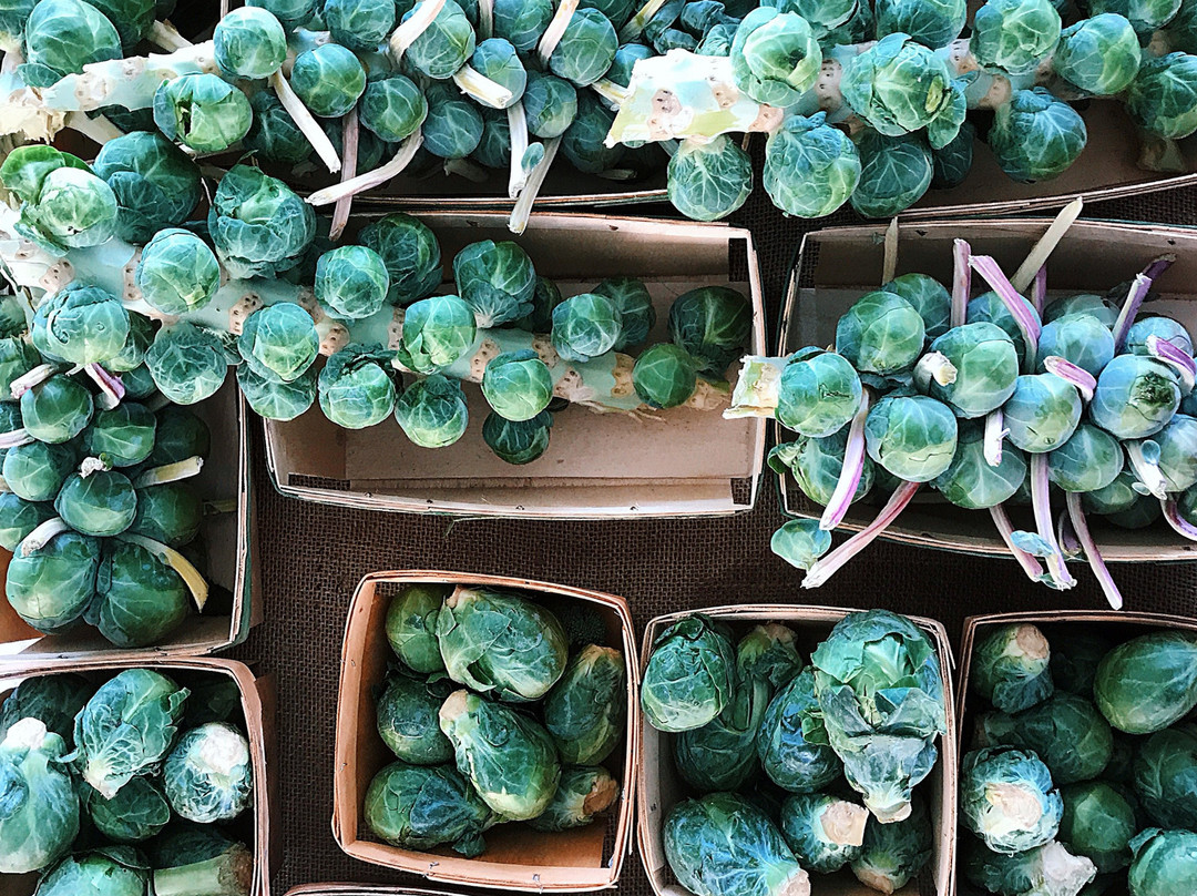 Dallas Farmers Market-达拉斯必去景点