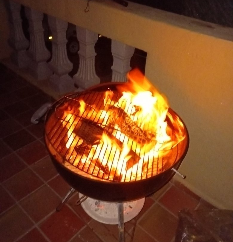 Pumba's Africa主图