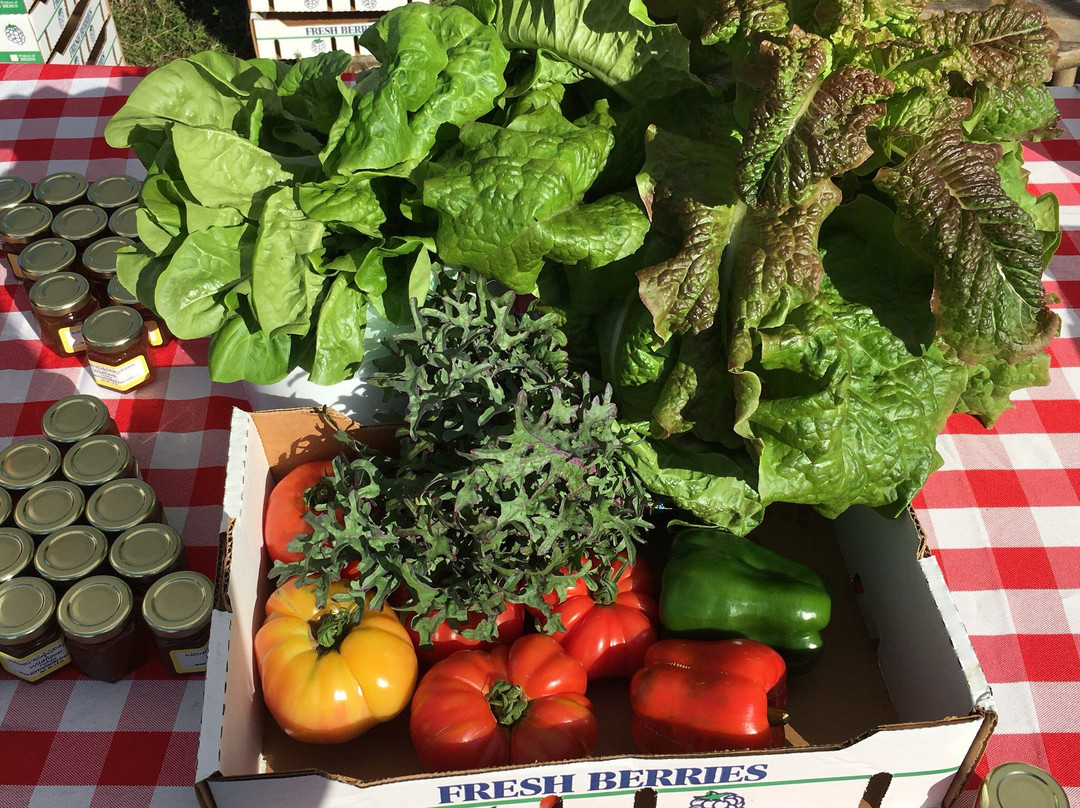 Weeks Bay Plantation-费尔霍普必去景点