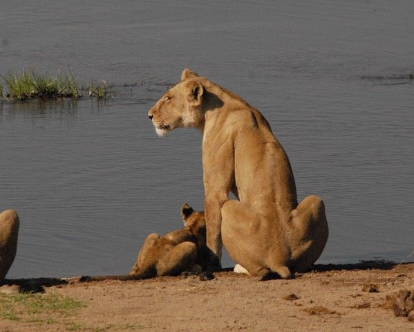Chabo Africa Safaris-Iringa必去景点