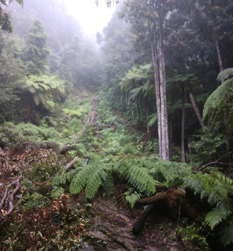 Dingo Tours-兰德威克必去景点
