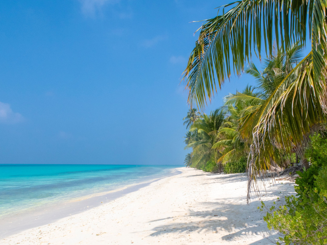 TME迪古拉酒店主图